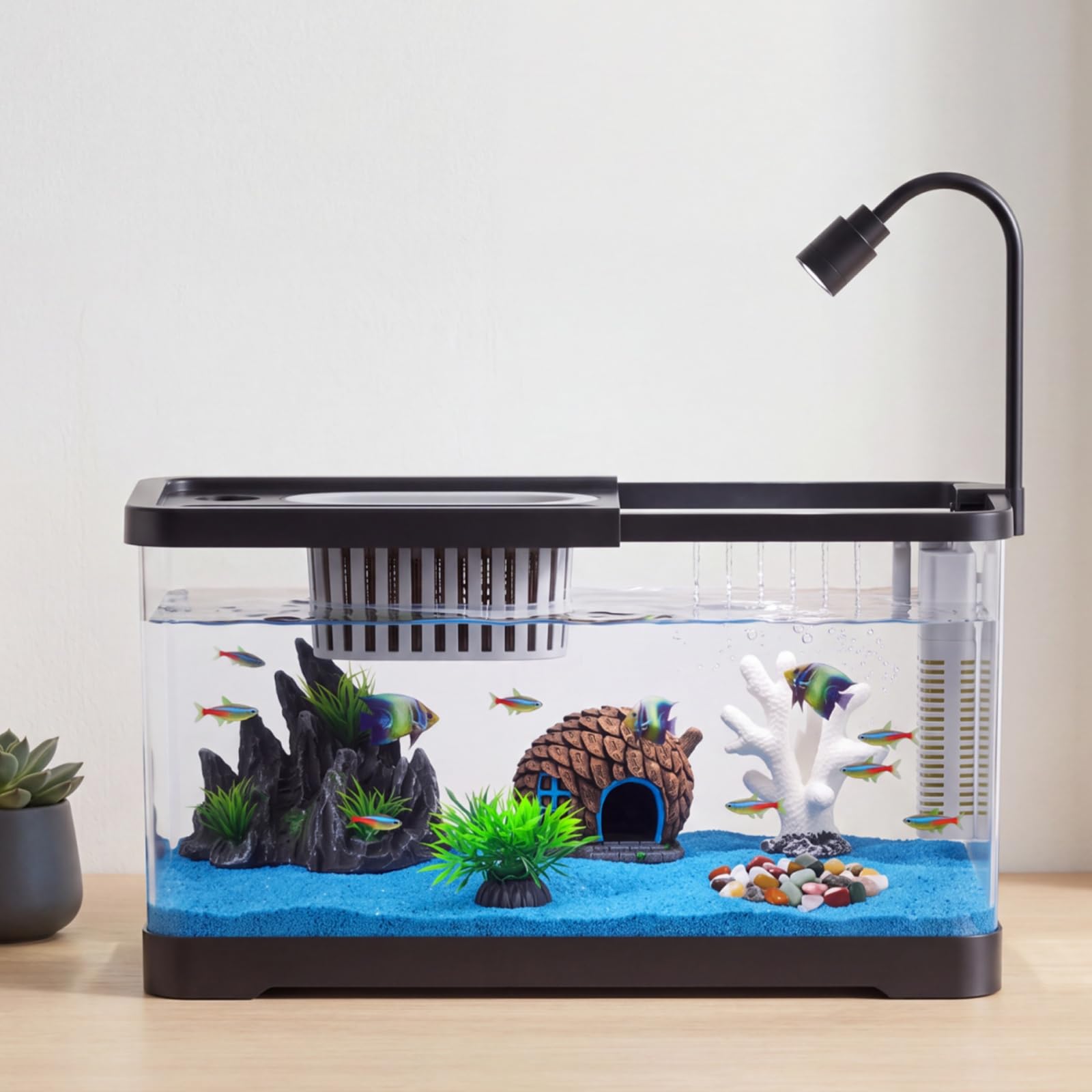 Aquarium Fish Goldfish - 어항 스타터 키트(필터 및 조명 포함)