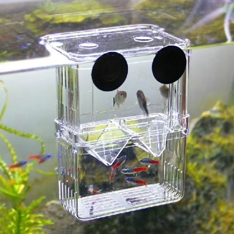 Aquarium Fish In Bowl - 투명 물고기 수족관 높은 투명한 번식