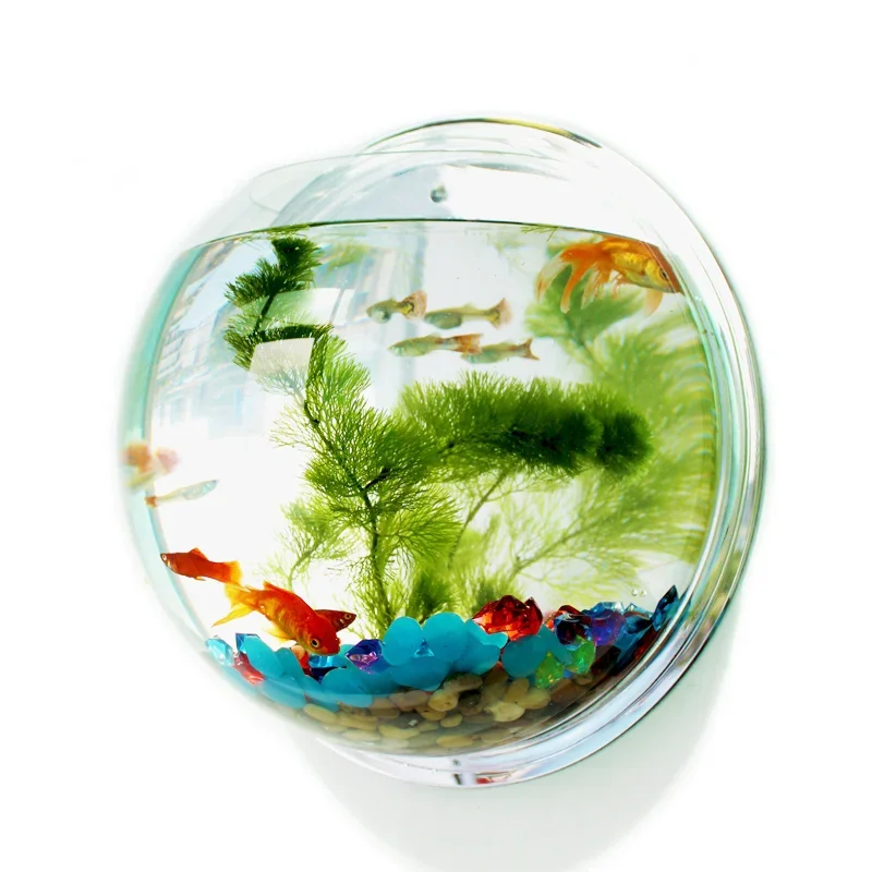 Aquarium Fish In Bowl - Pinsjar 아크릴 어항 벽걸이 수족관 탱크,
