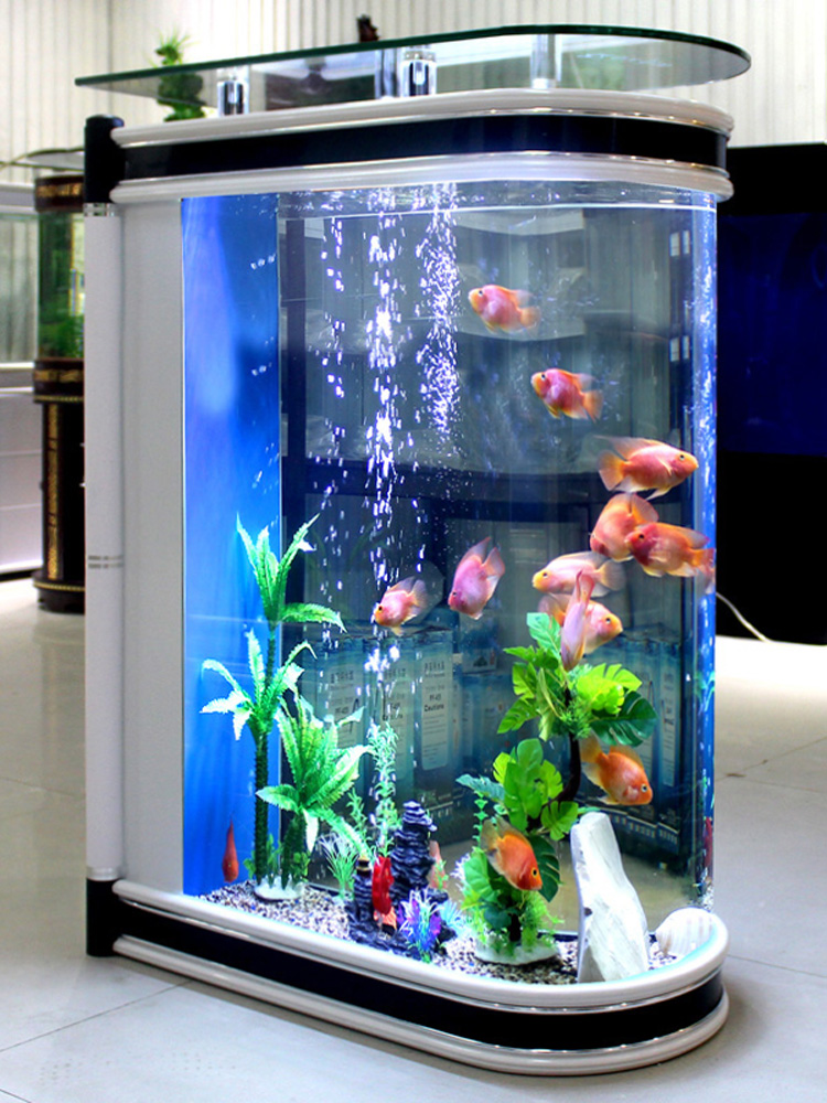 Aquarium Fishland - 생태적 불어어항 수족관 유리 중형 대형