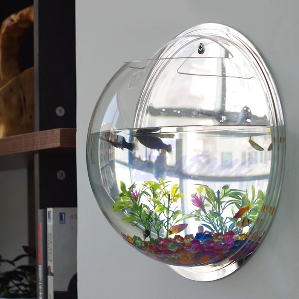 Aquarium Fish In Bowl - 냄비 벽 교수형 마운트 버블 수족관