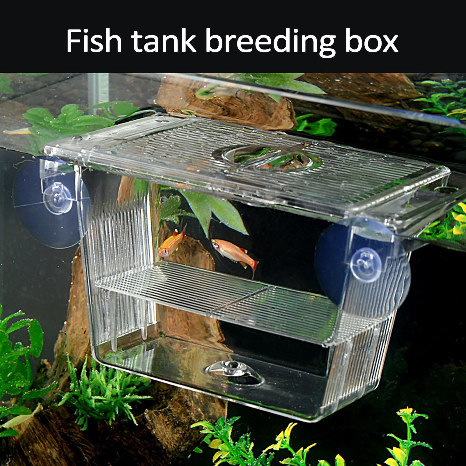 Aquarium Fish In Bowl - 어항용 번식 상자, 투명 물고기 격리