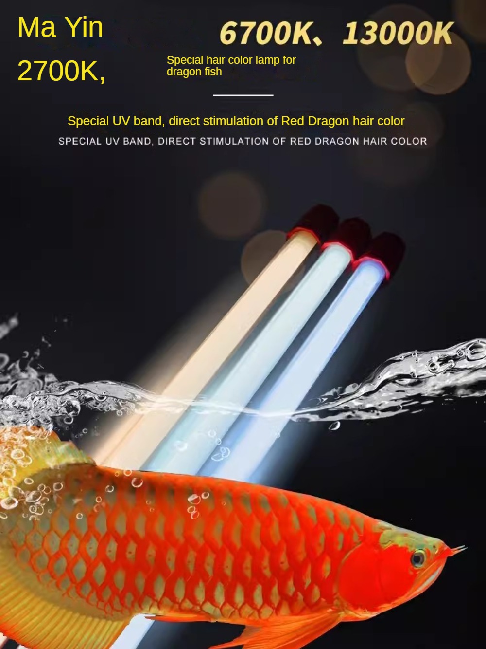 Aquarium Fish Yellow - 유리 아로와나 어항 조명, 아로와나, 식물,