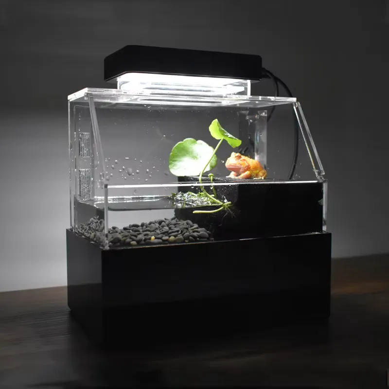 Aquarium Fish Sale - 릴랙스라인 맞춤형 데스크탑 수족관 미니 럭셔리