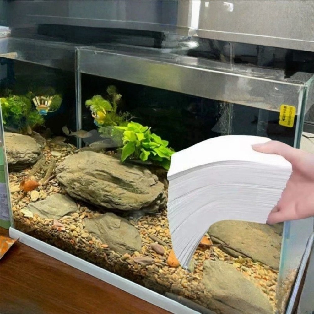 50pcs 다기능 필터 수족관 흡수성 종이 부직포 황변 - Aquarium Fish Yellow 리뷰 및 가격
