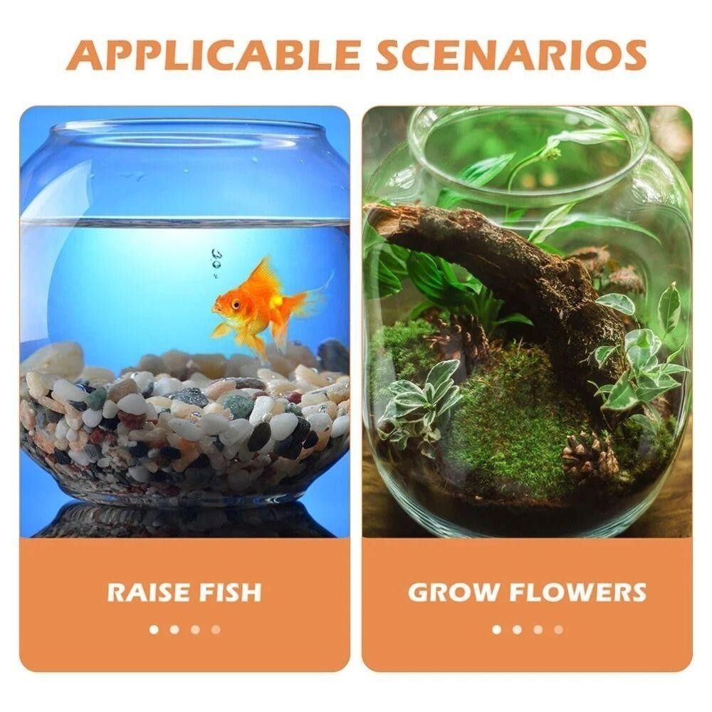 휴대용 투명 어항 원형 플라스틱 소형 물고기 그릇 깨지 - Aquarium Fish In Bowl 리뷰 및 가격