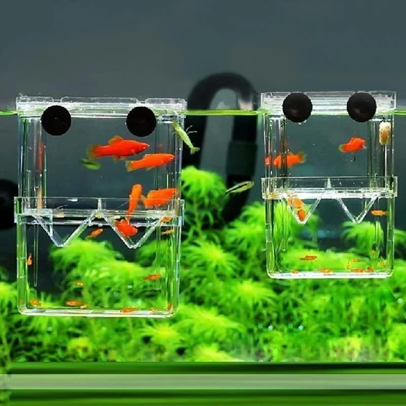 투명 물고기 수족관 높은 투명한 번식 격리 상자 애완  - Aquarium Fish In Bowl 리뷰 및 가격