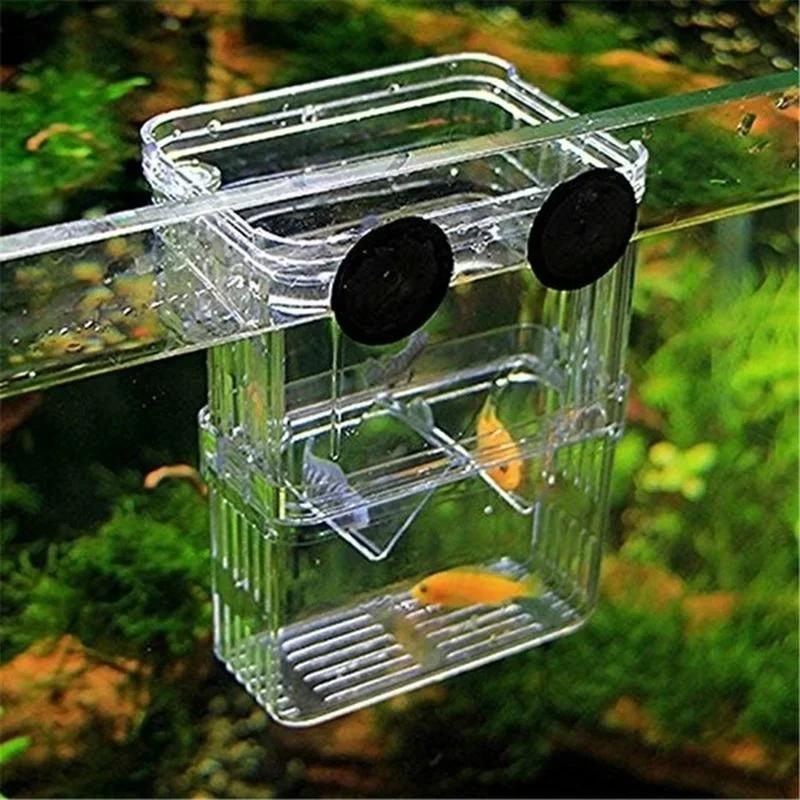 투명 물고기 수족관 높은 투명한 번식 격리 상자 애완  - Aquarium Fish In Bowl 리뷰 및 가격