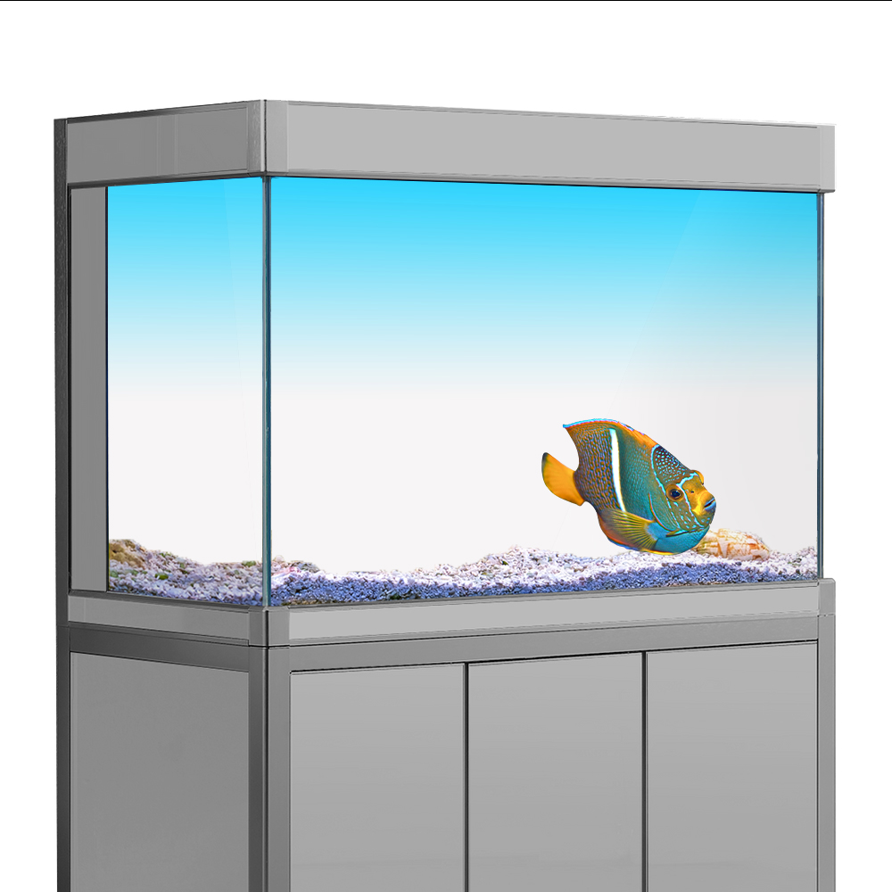 물고기 탱크 배경 스티커 흰색 노란색 녹색 파란색 청록 - Aquarium Fish Yellow 리뷰 및 가격
