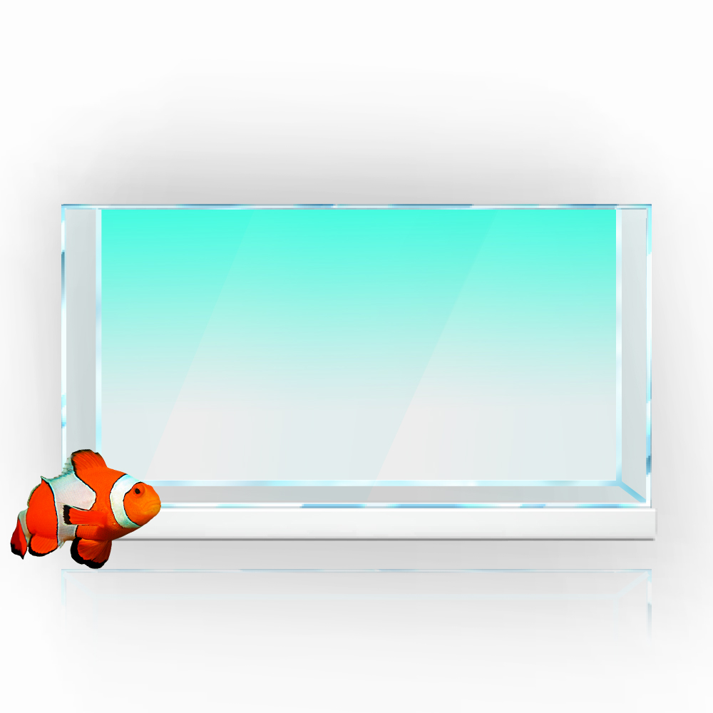 물고기 탱크 배경 스티커 흰색 노란색 녹색 파란색 청록 - Aquarium Fish Yellow 리뷰 및 가격