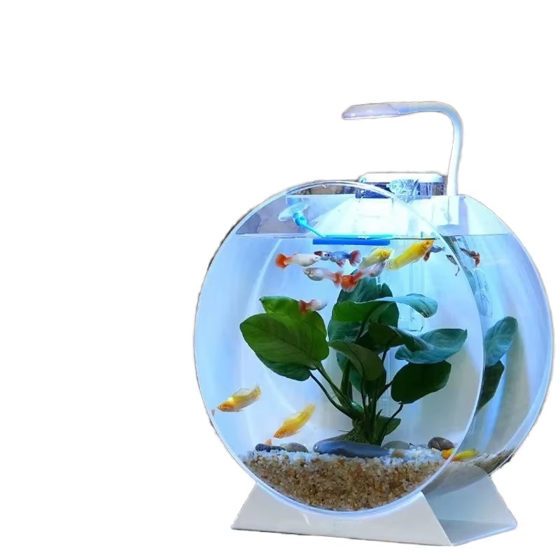 핫 세일 모던 친환경 아크릴 어항 다양한 크기의 데스크 - Aquarium Fish Sale 리뷰 및 가격