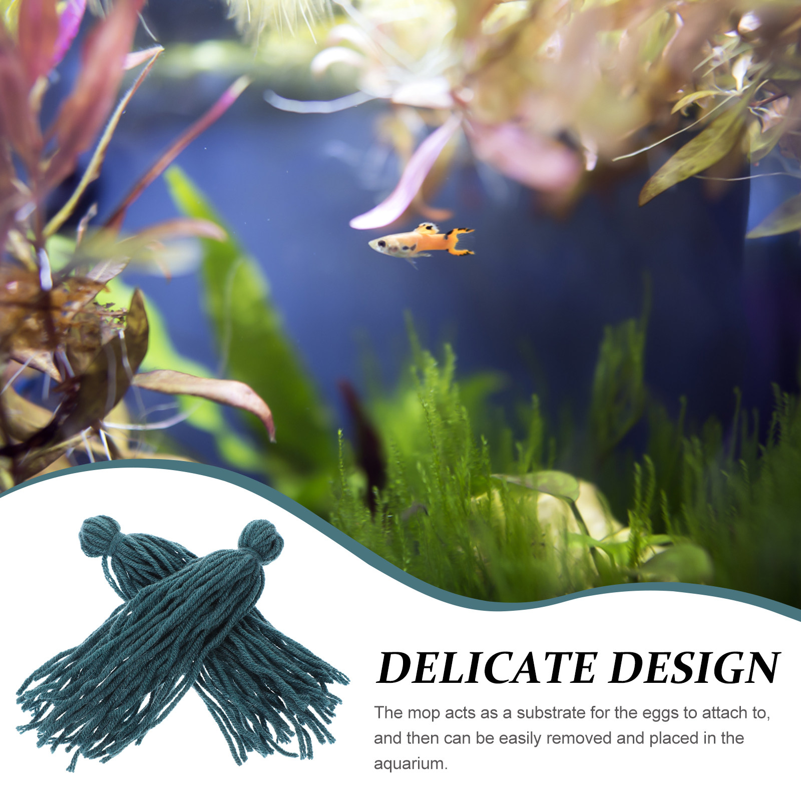 5개들이 물고기 알 풀이용 물고기 알 보관 용기, 물고 - Aquarium Fish Reproduction 리뷰 및 가격