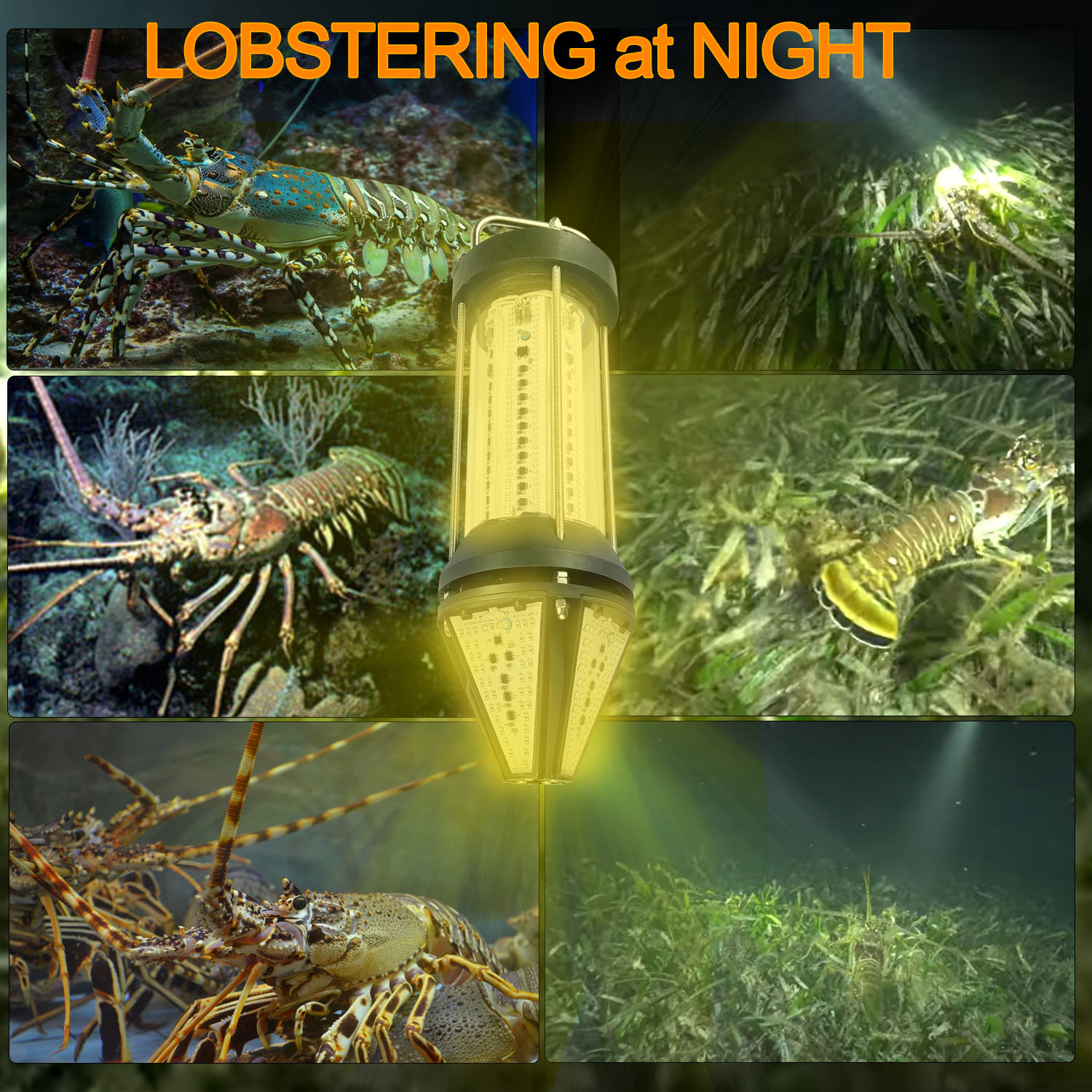 녹색 파란색 흰색 노란색 야외용 500W 800W 15 - Aquarium Fish Yellow 리뷰 및 가격