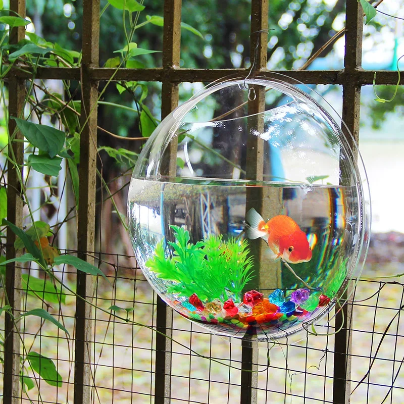 Pinsjar 아크릴 어항 벽걸이 수족관 탱크, 수생  - Aquarium Fish In Bowl 리뷰 및 가격