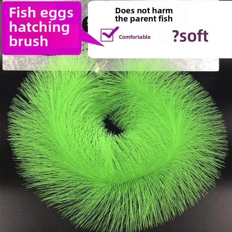 코이 물고기 알 부화용 사육용 잔디, 금붕어 양식용 여 - Aquarium Fish Goldfish 리뷰 및 가격