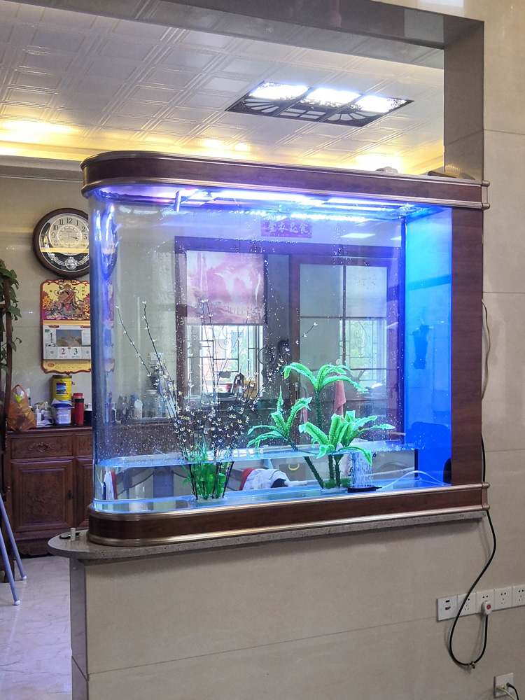 생태적 불어어항 수족관 유리 중형 대형 물갈이 필요 없 - Aquarium Fishland 리뷰 및 가격