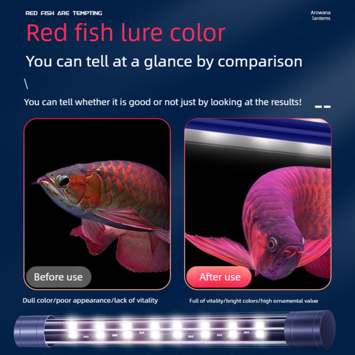 LED 수족관 조명 32.7인치, 수중 아로와나 태닝  - Aquarium Fish Yellow 리뷰 및 가격