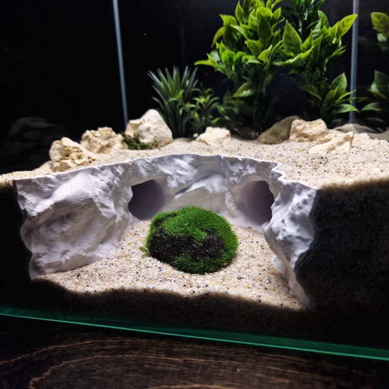 2-in-1 수륙 겸용 은신처 동굴 터널 안전한 파충류 - Aquarium Fishland 리뷰 및 가격