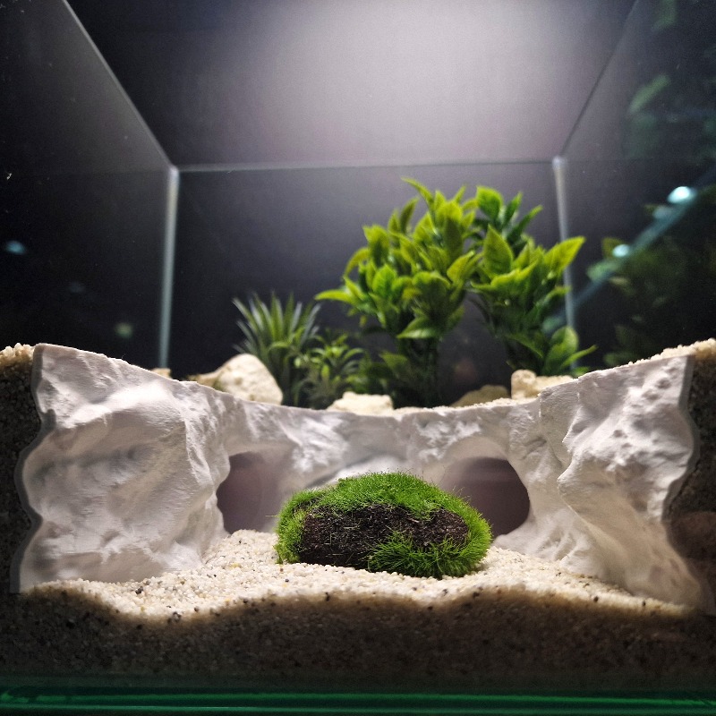2-in-1 수륙 겸용 은신처 동굴 터널 안전한 파충류 - Aquarium Fishland 리뷰 및 가격