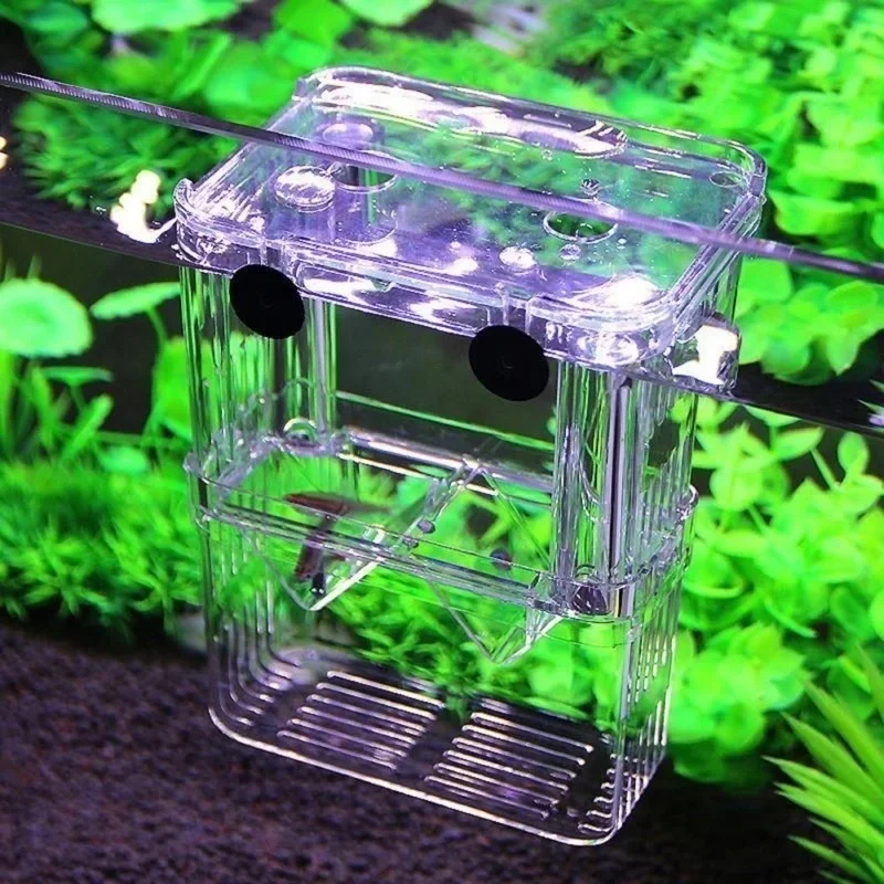 다기능 어항 고투명 어류 번식 격리 상자 어항 사육통  - Aquarium Fish In Bowl 리뷰 및 가격