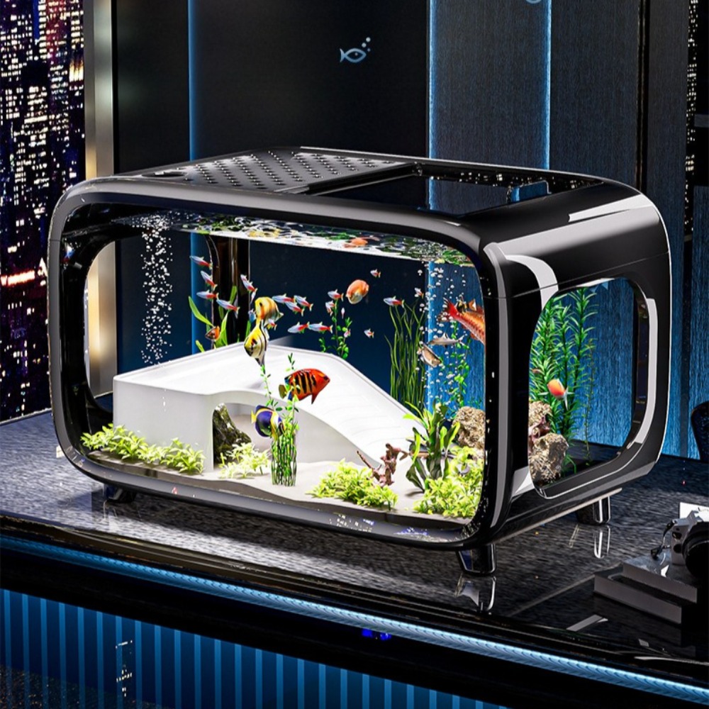 투명 고급 어항, 내구성 좋은 거실 장식, 소형 금붕어 - Aquarium Fish Goldfish 리뷰 및 가격