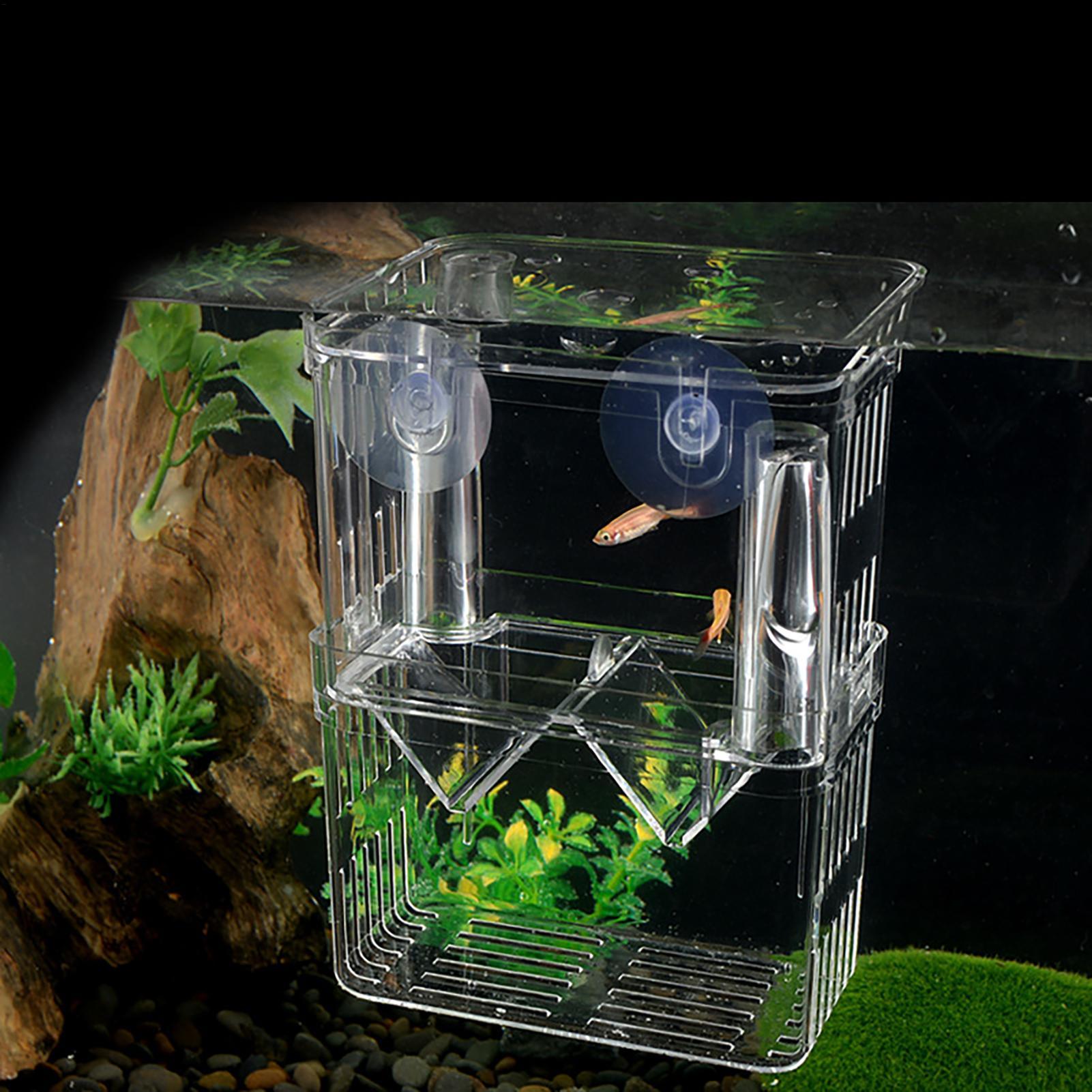 어항용 번식 상자, 투명 물고기 격리 상자, 아크릴 부 - Aquarium Fish In Bowl 리뷰 및 가격