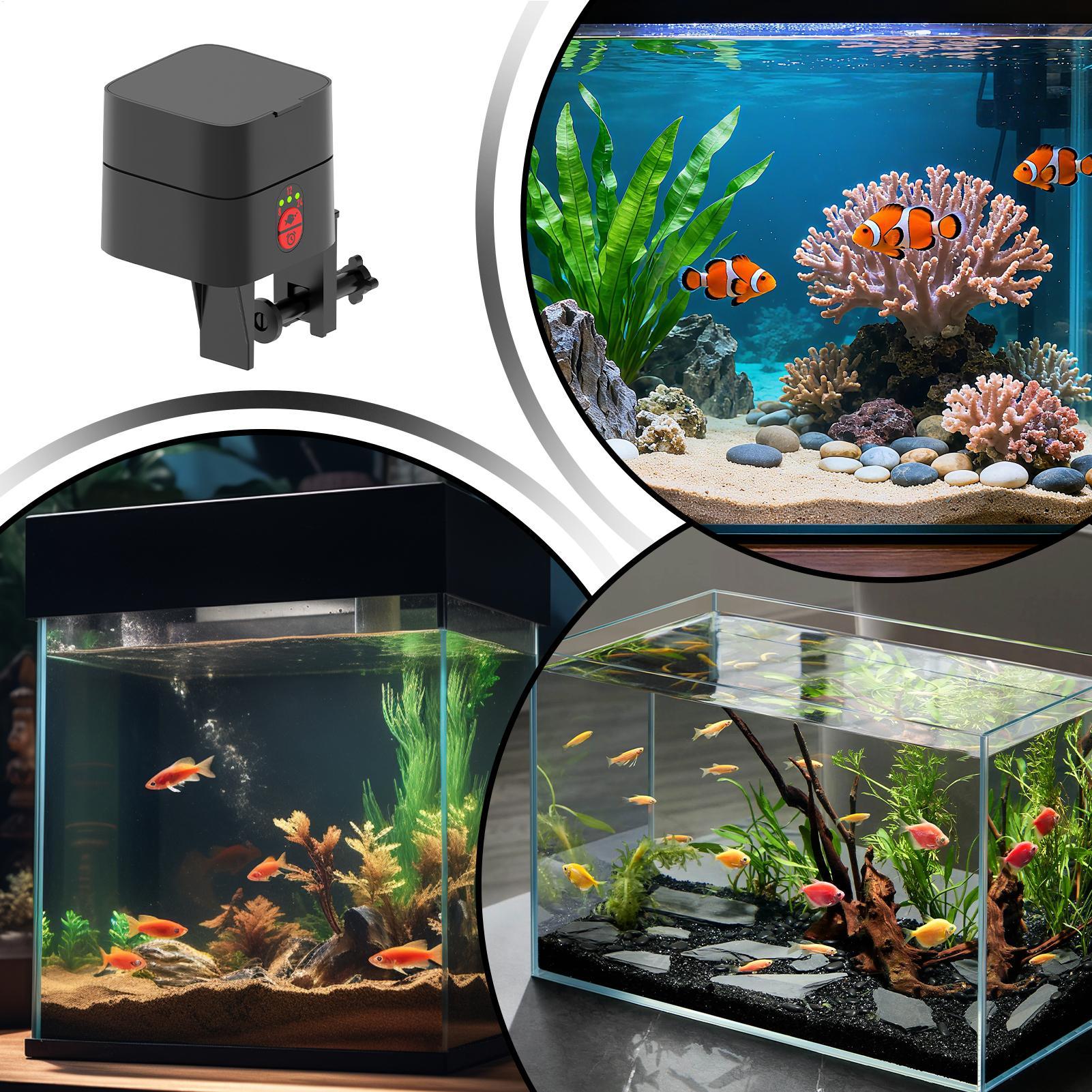 수족관용 자동 물고기 급식기, 자동 타입-C 충전식 디 - Aquarium Fish In Bowl 리뷰 및 가격