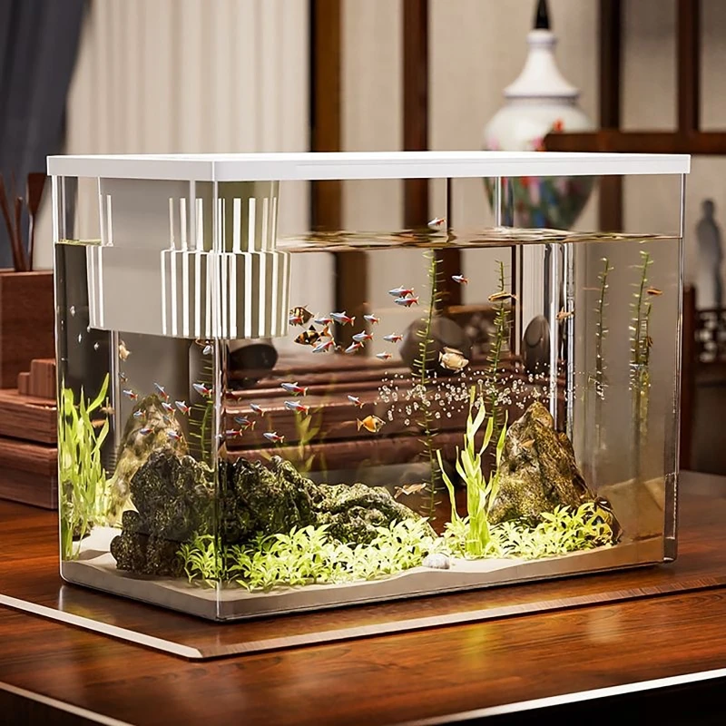 PET + ABS 물고기 탱크 뚜껑이있는 새로운 투명한 - Aquarium Fish In Bowl 리뷰 및 가격