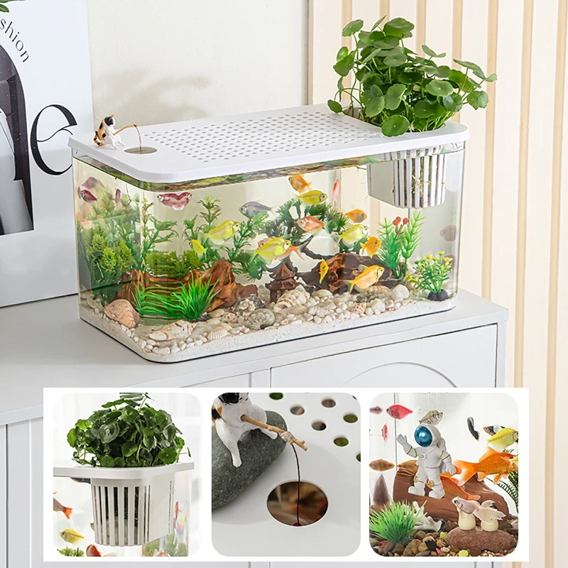 PET + ABS 물고기 탱크 뚜껑이있는 새로운 투명한 - Aquarium Fish In Bowl 리뷰 및 가격
