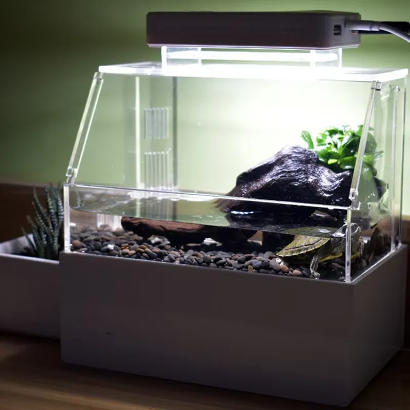 릴랙스라인 맞춤형 데스크탑 수족관 미니 럭셔리 장식용  - Aquarium Fish Sale 리뷰 및 가격