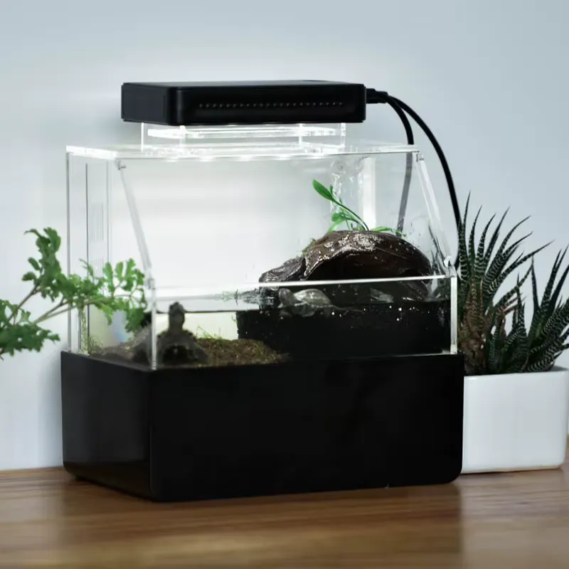 릴랙스라인 맞춤형 데스크탑 수족관 미니 럭셔리 장식용  - Aquarium Fish Sale 리뷰 및 가격
