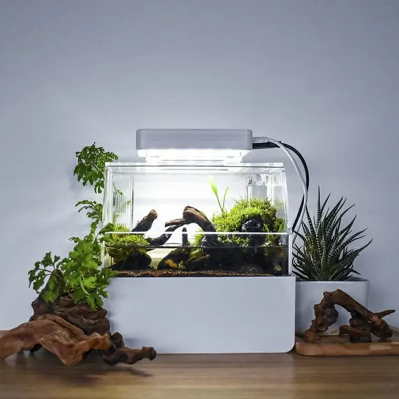 릴랙스라인 맞춤형 데스크탑 수족관 미니 럭셔리 장식용  - Aquarium Fish Sale 리뷰 및 가격