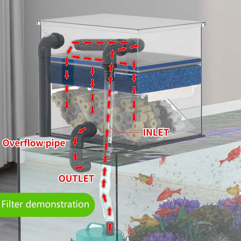 공장 직판 수족관 탱크 필터 스테인리스 스틸 어항 바이 - Aquarium Fish Sale 리뷰 및 가격