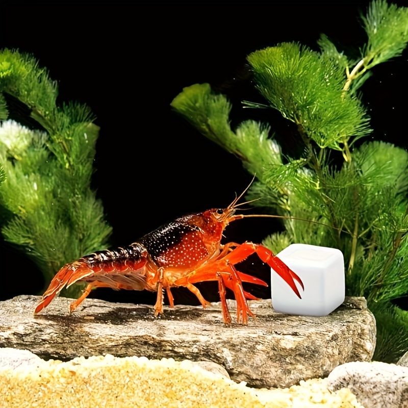 어항용 칼슘 블록 6개 세트, 미네랄, 수족관 용품,  - Aquarium Fish Lego 리뷰 및 가격