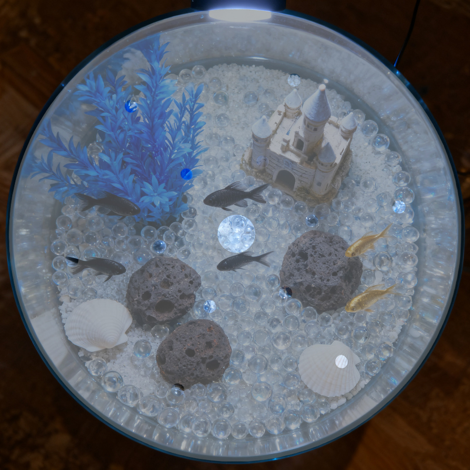 7인치 원형 아크릴 어항 덮개, 탈출 방지 뚜껑, 투명 - Aquarium Fish In Bowl 리뷰 및 가격