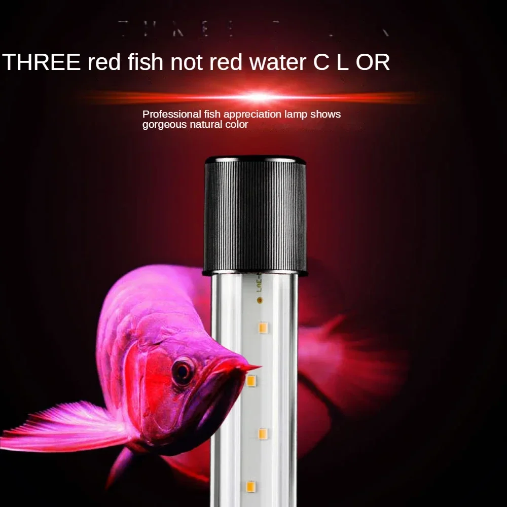 아로와나 램프, LED 유리 수족관 풍경 램프, 앵무새 - Aquarium Fishland 리뷰 및 가격